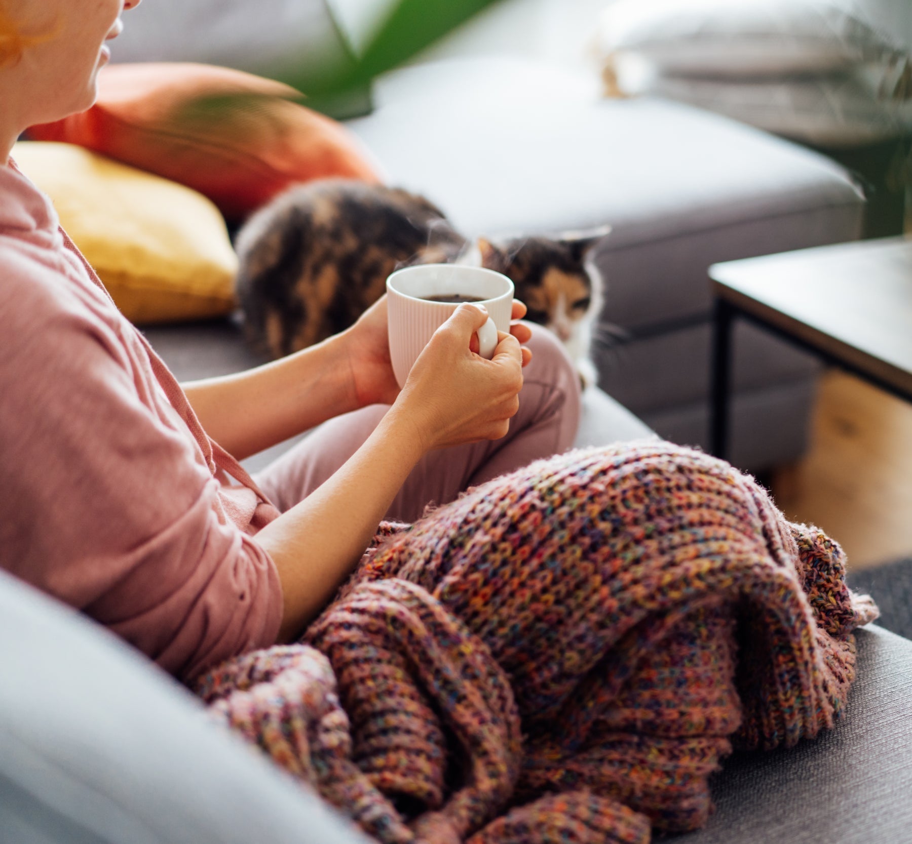 soft-success-lifestyle-be-soft