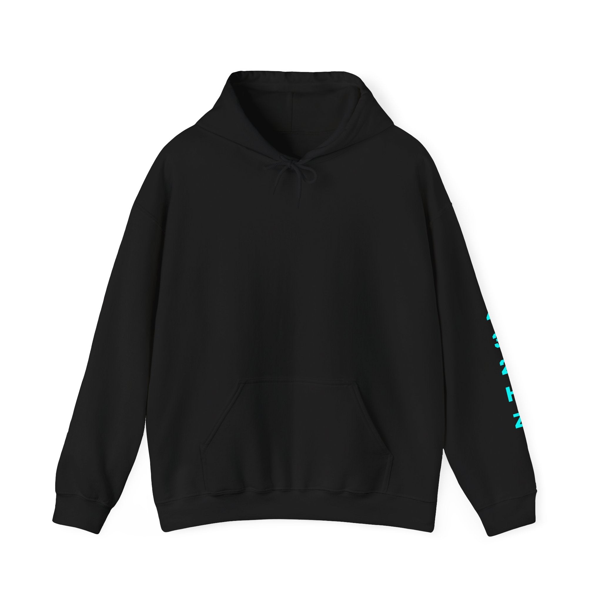 Soft Frequencies™ 432 Hz Harmony Hoodie in Eclipse Black – minimalist front view
