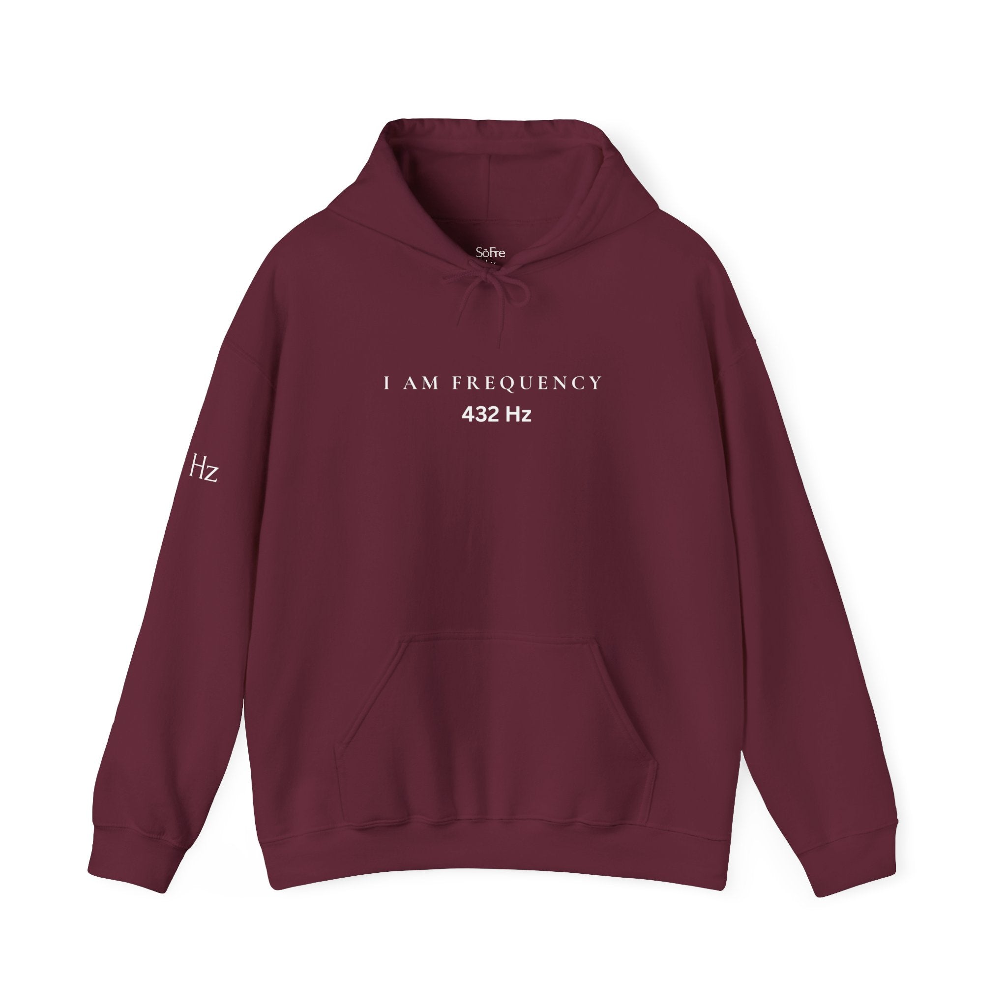 Bay I am Frequency hoodie with text on a white background